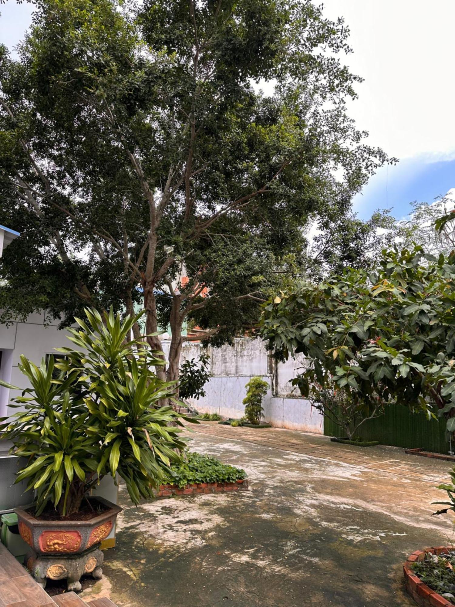 Bungalow Hotel Chi Khu Co Ong Esterno foto