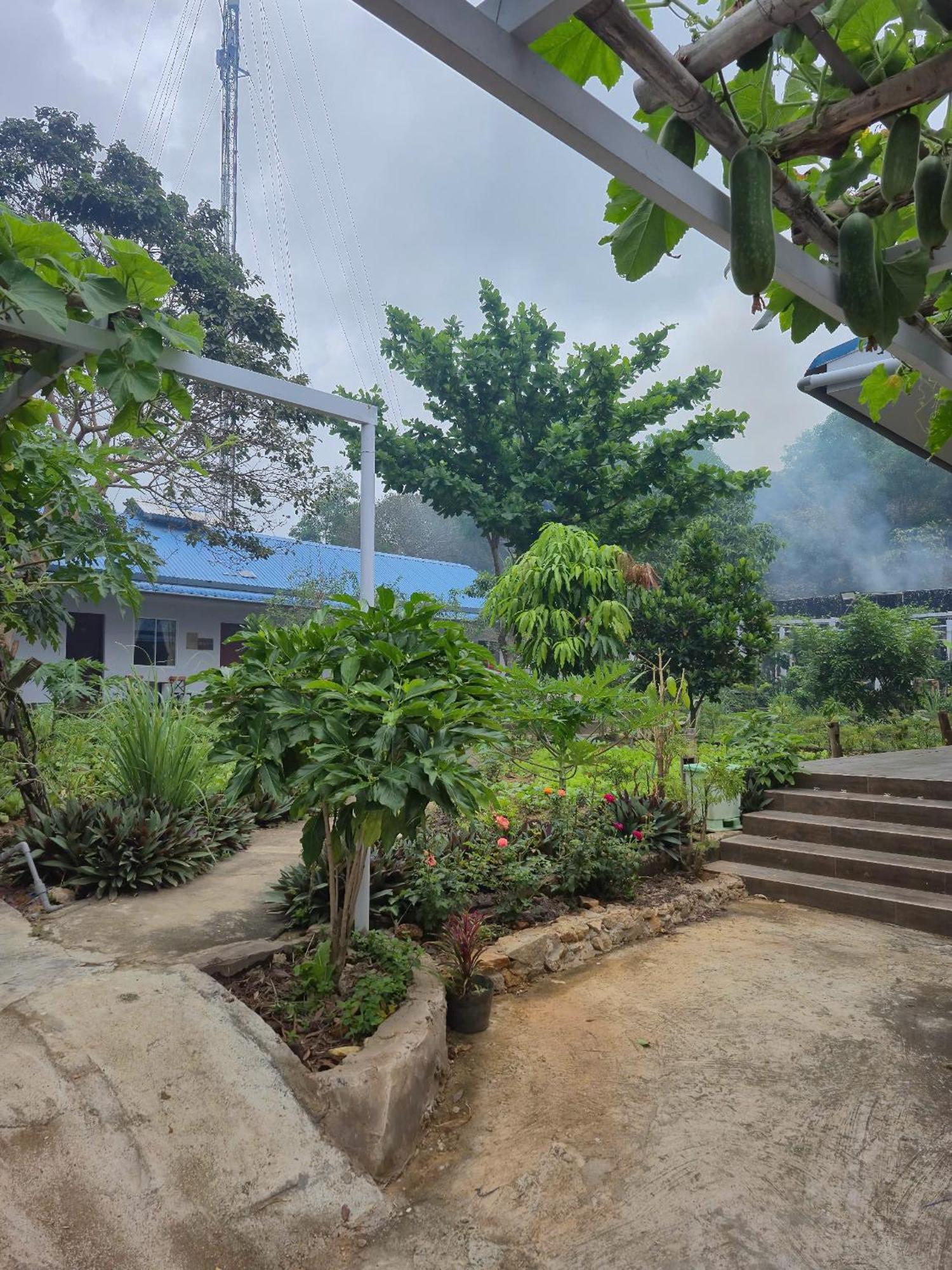 Bungalow Hotel Chi Khu Co Ong Esterno foto